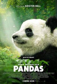 Pandas (2018) Poster