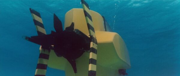 Sdmlsharkhunter3.jpg