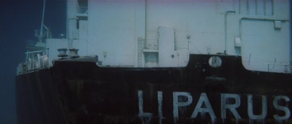 Sdmlliparus13.jpg