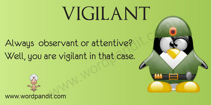 What does vigilant mean discount