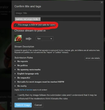 An example of how Imgflip's automatic NSFW tag works.