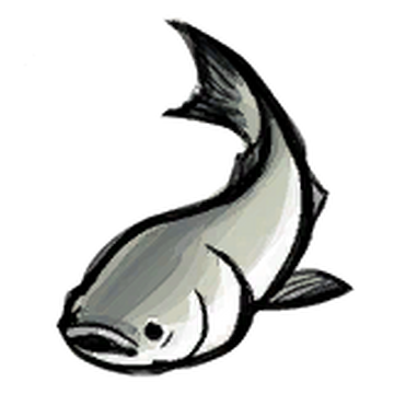 Bighead carp store