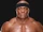 Bobby Lashley