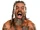 Jay Briscoe