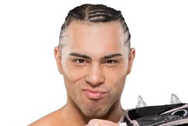NWo Japan | Pro Wrestling | Fandom