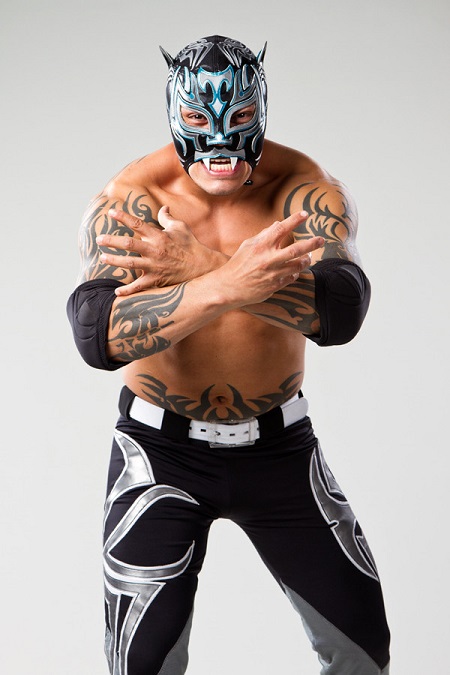 Lucha libre, Pro Wrestling Wiki