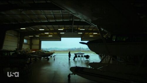 Motive-207-a-005