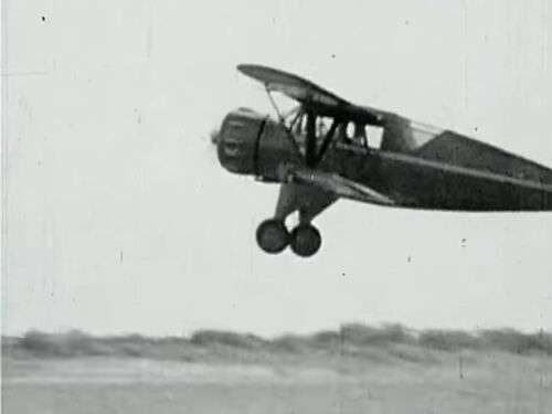 ClippedWings 04900