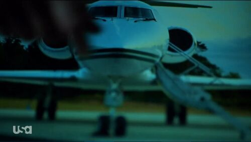 Motive-413-205