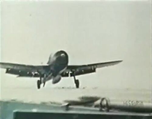 Wings-Eagle 00024