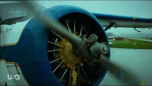Motive-207-a-004