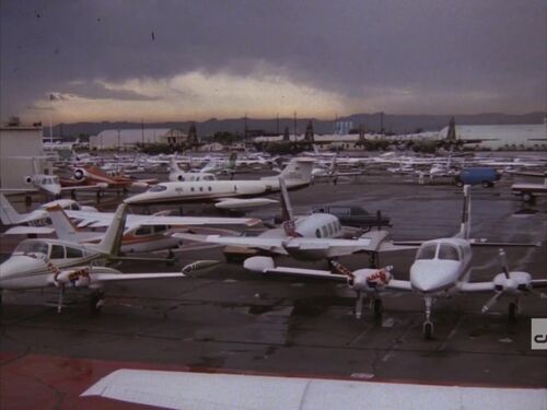 Dynasty81-204-057