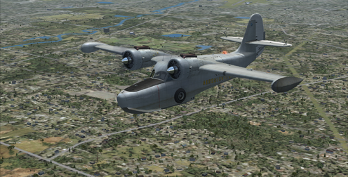 FSX Goose 1