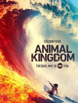 Animal Kingdom (TV series) | Internet Movie Plane Database Wiki | Fandom