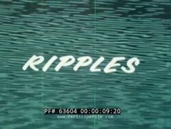 Vlcsnap-2024-03-25-19h11m26s681