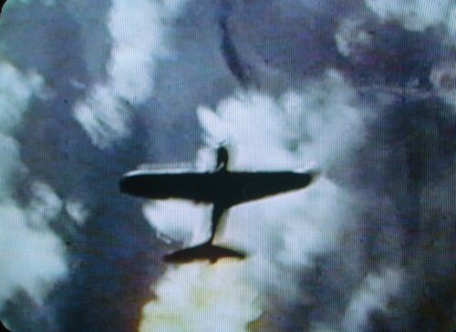 FL Jap4 CIMG5204