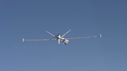 Nsxuam1036
