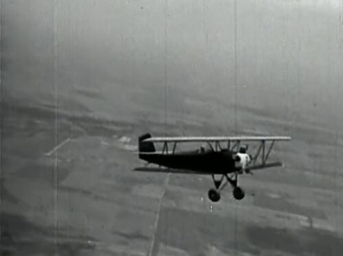 ClippedWings 05228