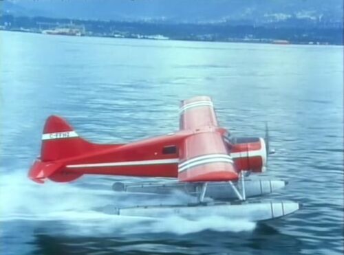 DangerBay DHC-2 TD ep304