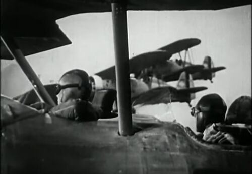 ClippedWings 00851