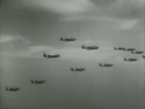 GungHo flight