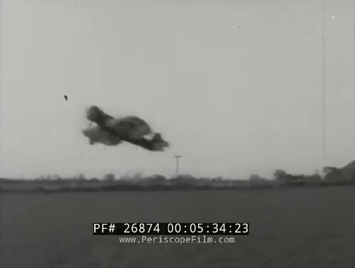 Vlcsnap-2024-10-12-10h42m34s811