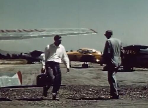 FlyingBusinessman C180 Navion