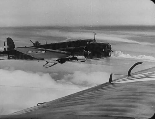 Calafuria1943010332