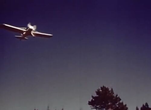 FlyingBusinessman UNK3
