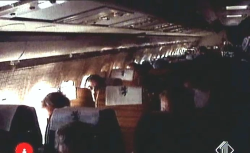 Amore libero Free Love Internet Movie Plane Database Wiki Fandom