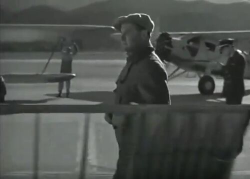 AirHostess33 01110-Brougham