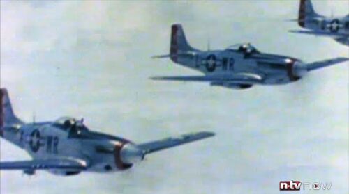 FDBgD p51mustang1