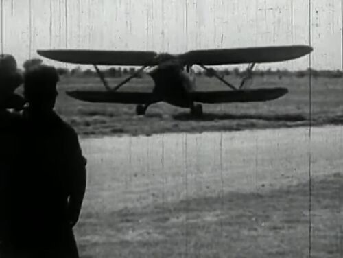 ClippedWings 01905