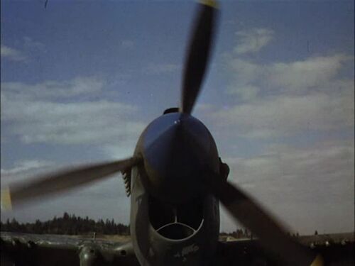 SonOfLassie P-40