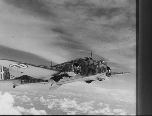 Calafuria1943010315