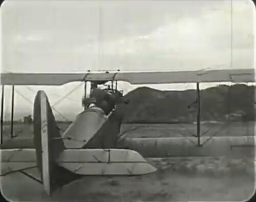 Flying-Luck 04654