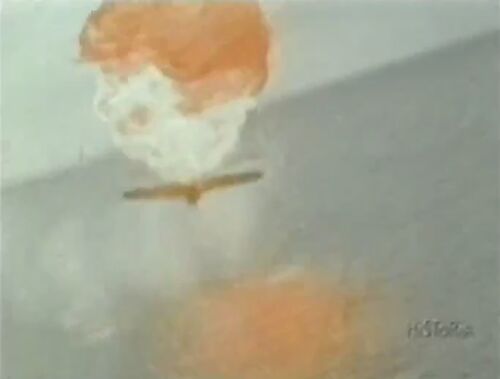 Wings-Eagle 00030