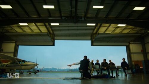 Motive-207-a-009