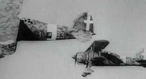 PasqualinoSettebellezze Fiat-CR42b