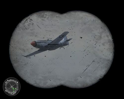 COD2 Mustang3
