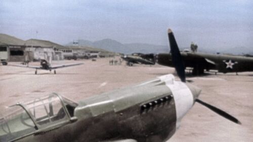 Warbirds3321