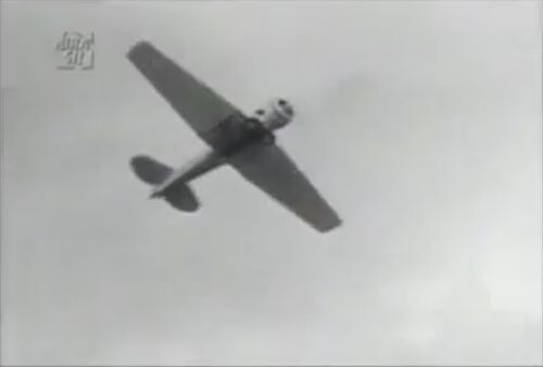AdF T-6