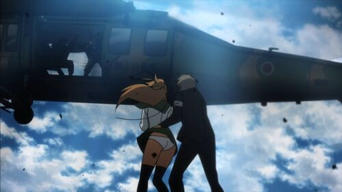 HOTD Black Hawk