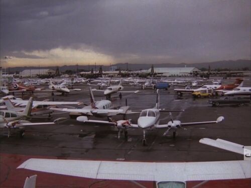 Dynasty81-204-006
