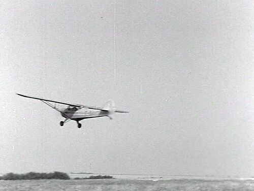 AVION CF LCDD