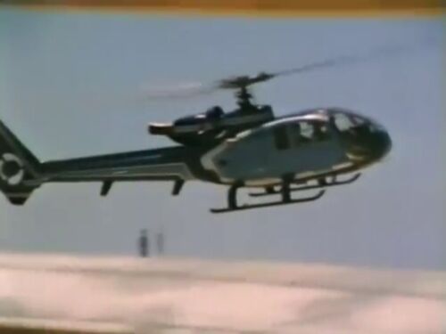 Deadly gazelle1