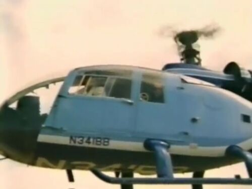 Deadly gazelle2