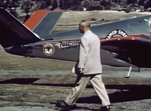FlyingBusinessman Beech 35 C195