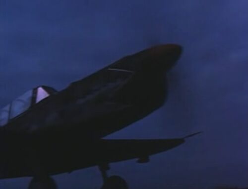 Eagle7