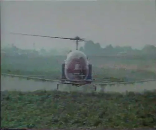 WWchopper.2